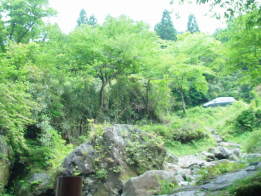 おかん心臓が止まるどどど!