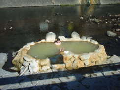 ̏ォJŎBĂ̂ł񂪏ʂĂB