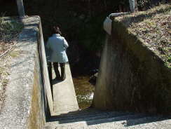 狭くて急な石段を下りていくおかん