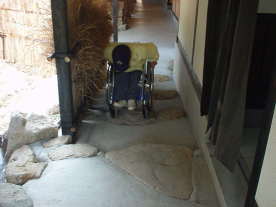 上がるときは大変、でも下りはかんたんだよ♪