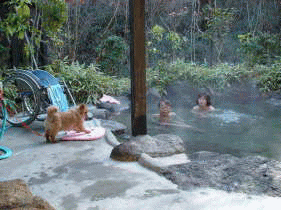 ƂƁE񂪂CɓĂƂSzɌĂe