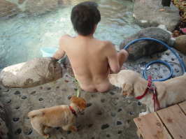 ĂƂ񂿂񂽂Ə̉򂾂_(^O^)^