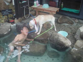 Mnnnnnnnnnnnn(^Q^)/""  