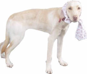 ܂ʂʂȂČȂd(^-^)l!