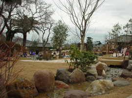 おかんを見失ってしまいました。