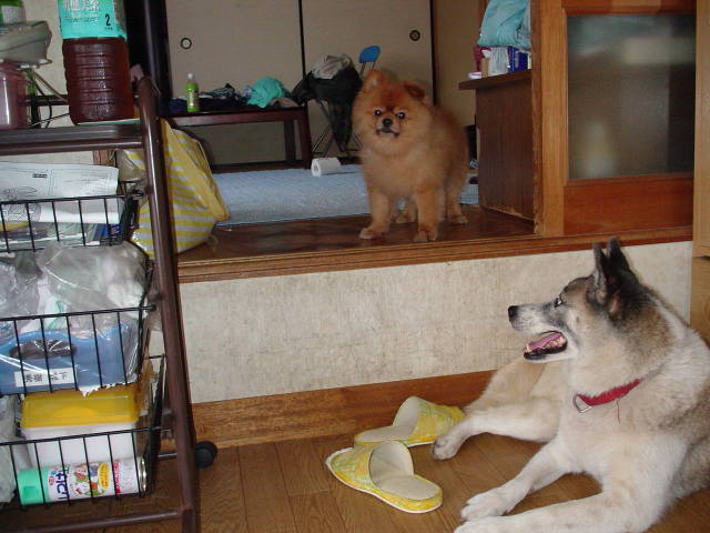 �摜���N���b�N����Ɩ߂�܂��B